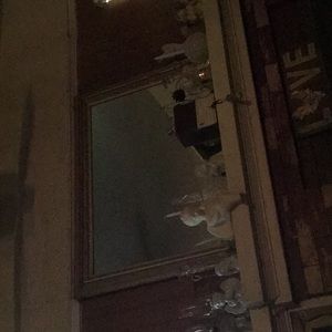 Meet your Posher, Jasper